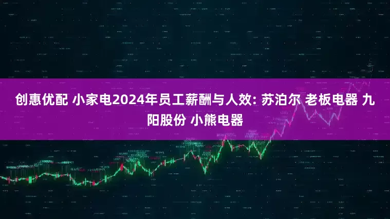 创惠优配 小家电2024年员工薪酬与人效: 苏泊尔 老板电器 九阳股份 小熊电器