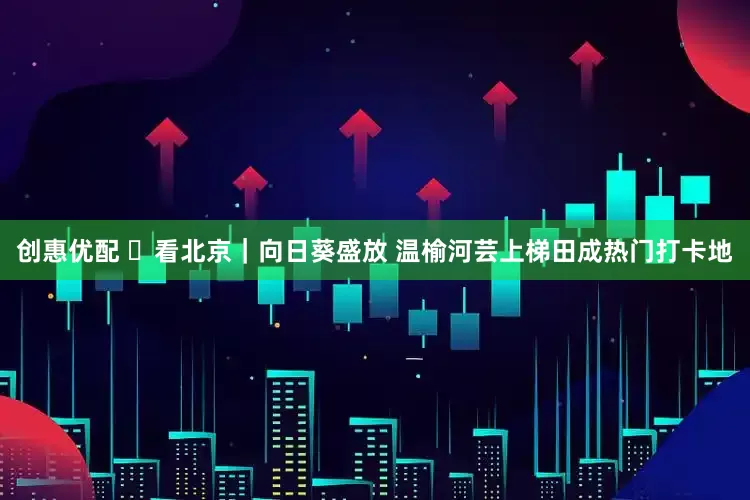 创惠优配 ​看北京｜向日葵盛放 温榆河芸上梯田成热门打卡地
